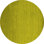 Performance Indoor Rug