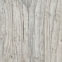 Seaside Pine