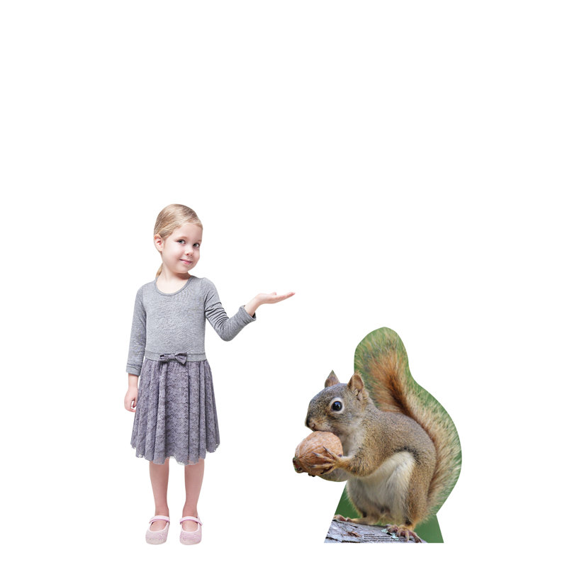 Squirrel