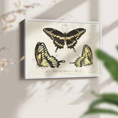 «Crackled Butterflies I», reproduction encadrée