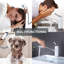 White Single Handle Bathroom Faucet With Pull-Out Sprayer-123298063-123298065