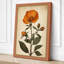 Single Stem in Bloom Botanical - Wrapped Canvas-1104650470-1104650479