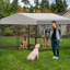Grande cage extérieure pour chien, cage pour chien robuste avec toit