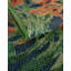 Tapis intérieur / extérieur en polypropylène tissé à la machine Izabella-88520860