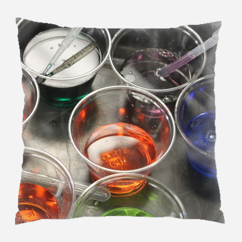 Reversible Throw Pillow, Indoor, Microsuede