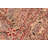 Ozra Oriental Hand-Knotted Rectangle 8'2" x 10'6" Wool Area Rug in Beige/Red