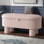 Banc de rangement rembourré avec couvercle relevable-2059318791
