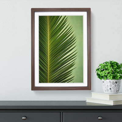 Palm Leaf Symbolism - Single Picture Frame Print on Wood