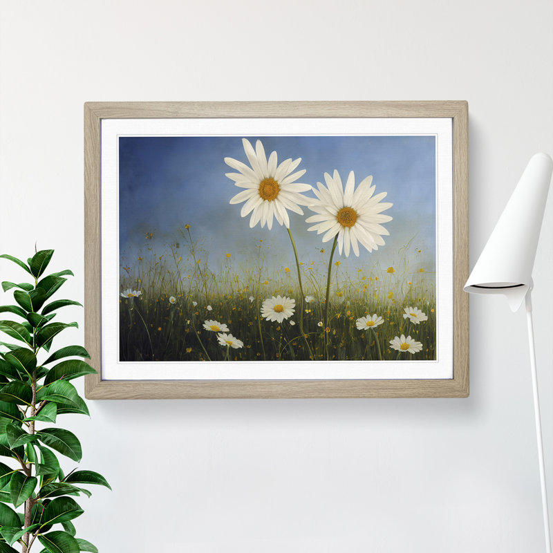 Engaging Daisy Flowers - Single Picture Frame Print, 25cm H x 34cm W x 2cm D, Oak Framed
