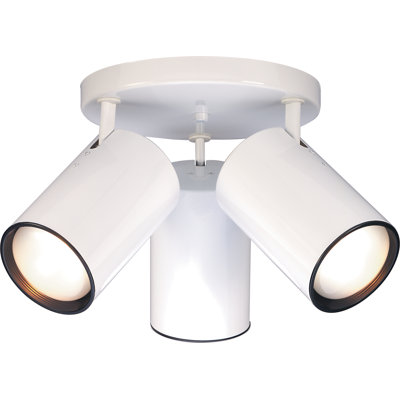 Projecteur simple cylindrique de 18 po à 3 lumières Chabot