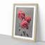 Fuscia Pink Chrysanthemums by Ogawa Kazumasa - Framed Print-55579000-55579001