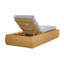 Wade Outdoor Chaise Lounge