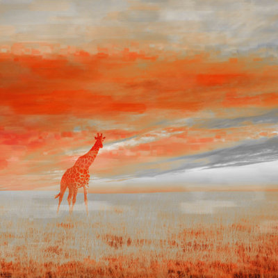 Parvez Taj - Wrapped Canvas Print