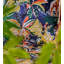 Invicta Botanical Dream Fabric-78978911