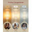 148 H cm Traditional Floor Lamp