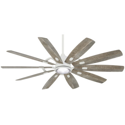 Barn 65'' Ceiling Fan with LED Lights