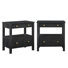 Delano 2 Drawer Nightstand - Set Of 2
