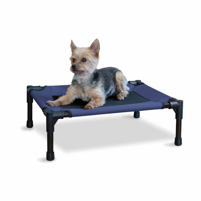 Lit de camp pour animal de compagnie Original, Petit (l 22 po x P 17 po x H 7 po), Bleu et noir