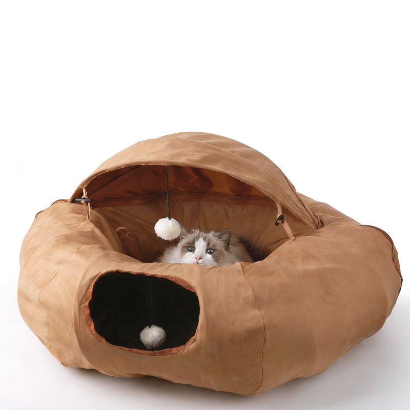 Agneau, chat, beignet, tunnel, brun clair, Tanné