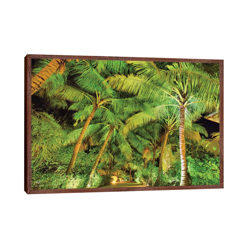Palm Tree Path 1 Piece Wall Art on Canvas, 45.72cm H x 66.04cm W x 3.81cm D, Classic Brown Wood Floater Framed