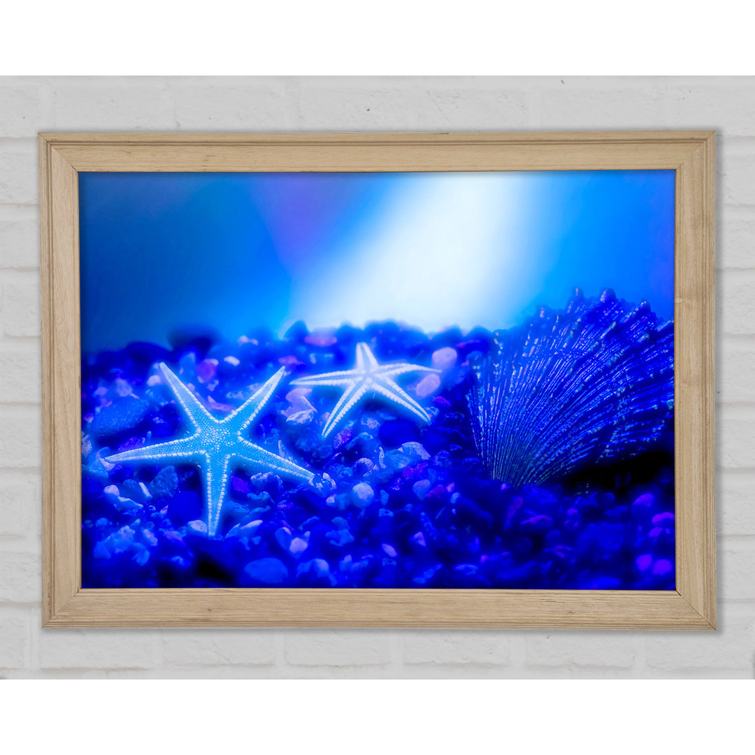 Gerahmtes Leinwandbild Stunning Blue Starfish