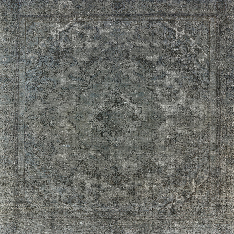 Shellie Oriental Indoor Rug, Square 8'