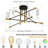Aethan 8 - Light Iron Dimmable Sputnik Sphere Chandelier