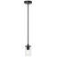 Pieternella 1 - Light Matte Black Single Pendant