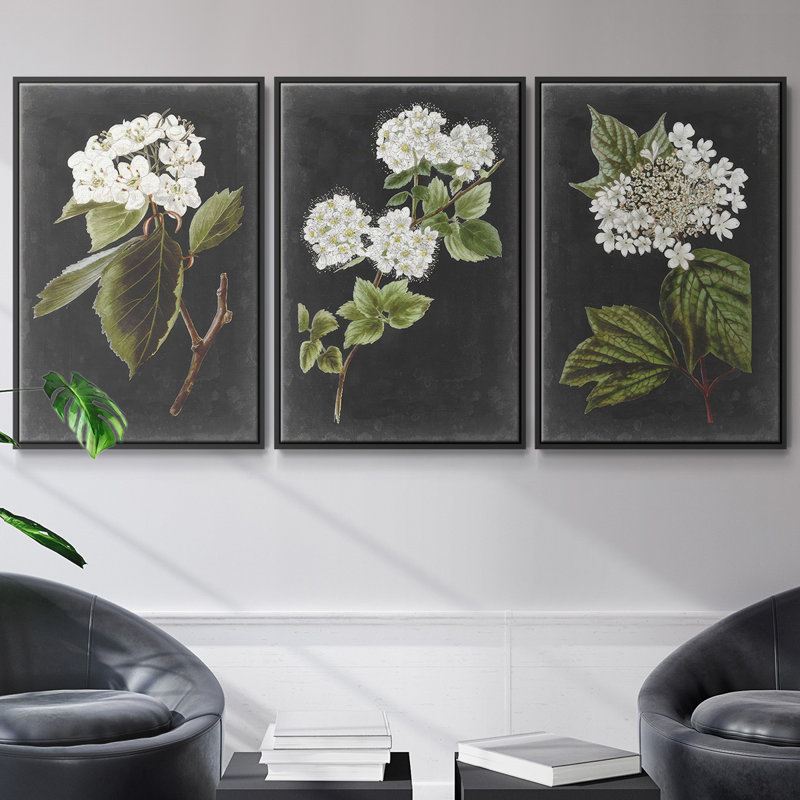 Ensemble de 3 toiles tendues à motif de botanique antique, Noir, H 36 po x l 72 po