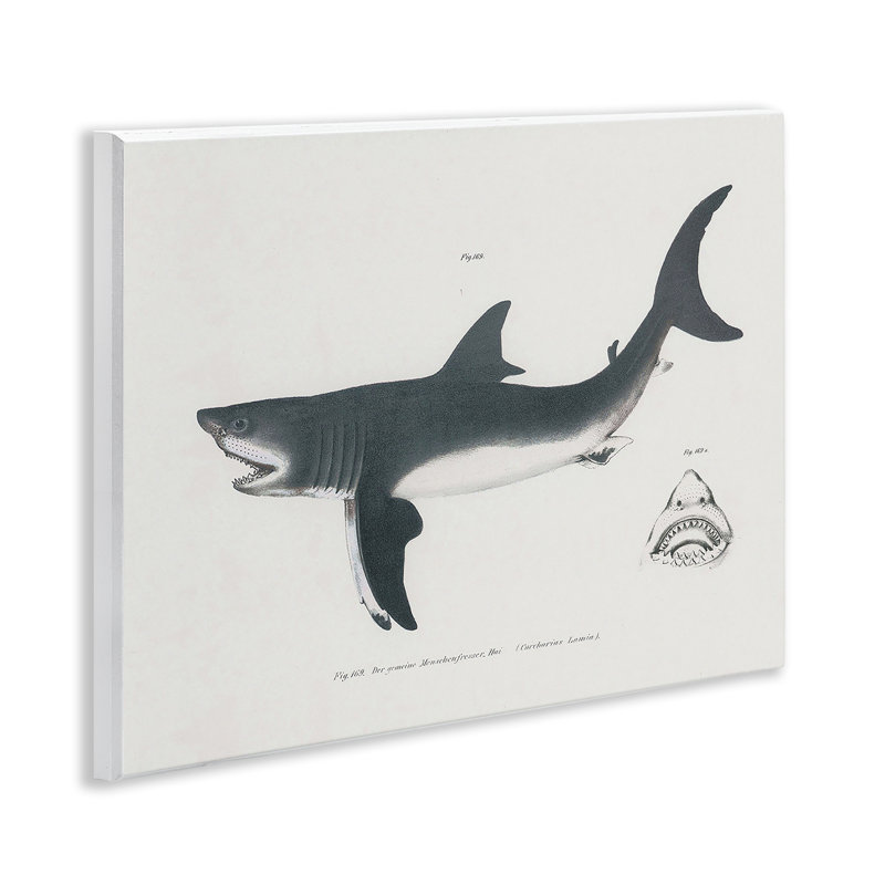 Plaque murale détaillée avec motif de requin, design par Phillipa Katz