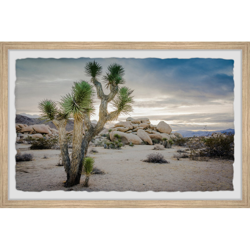 " Lone Joshua Tree ", 24" H x 36" W x 1.5" D