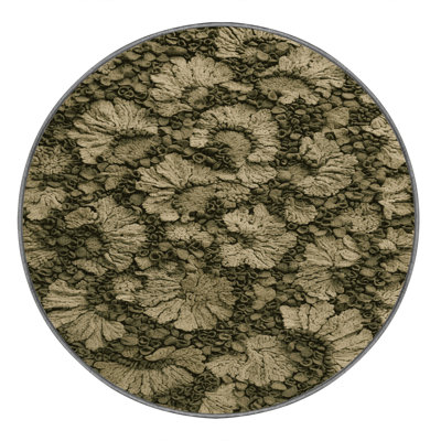 Tapis botanique brun lavable à la machine