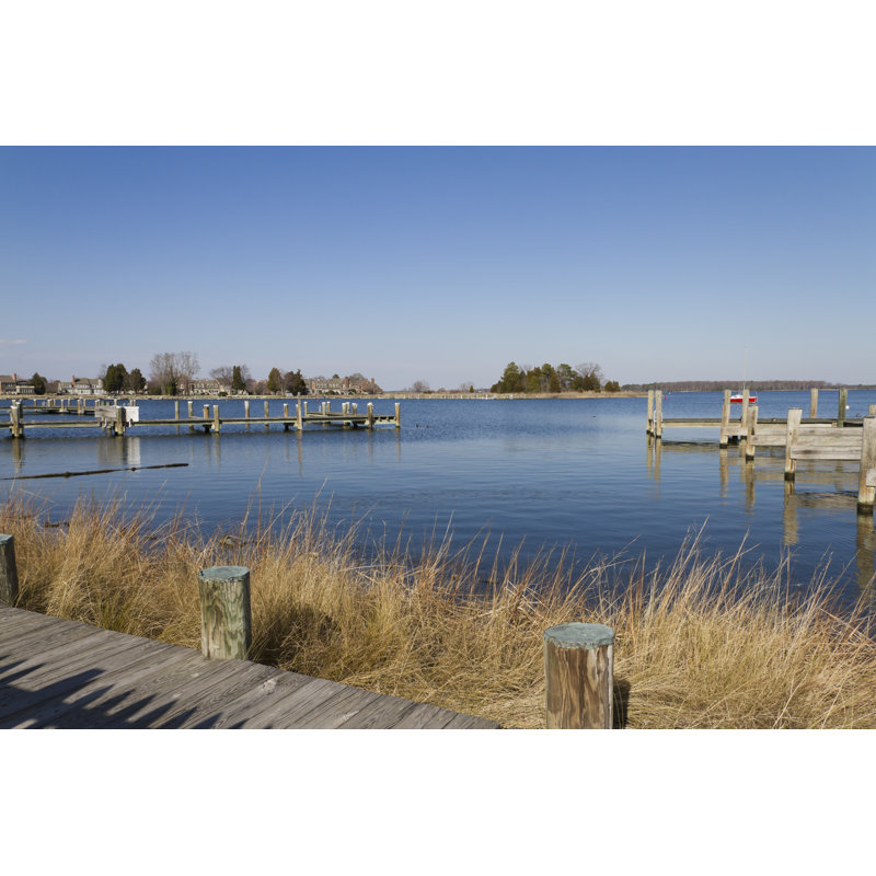 Miles River Scenic View by WilliamSherman - No Frame Print on Canvas, 51cm H x 76cm W