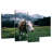 Brampt Curious Cow-108787955