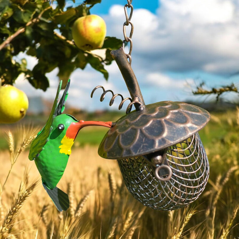Brentan Metal Hanging Decorative Bird Feeder