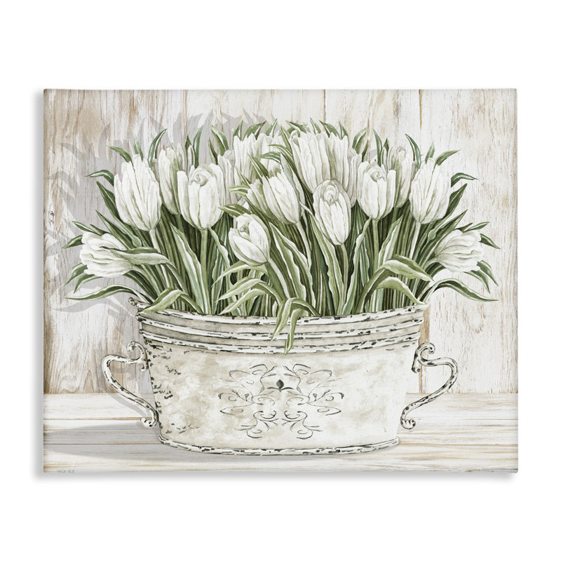 Fresh White Tulip Flowers Vintage Canvas Wall Art by Cindy Jacobs, 24" H x 30" W