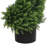 7FT Tall Artificial Two Tone Cypress Tree Indoor Outdoor Home Decor Faux Plant