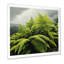 «Green Fern Forest Beauty II - Ferns», art mural-177520472-177520487