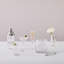 Marquis Vector Cocktail Shaker