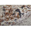 Tapis rectangulaire Rivah-808122670