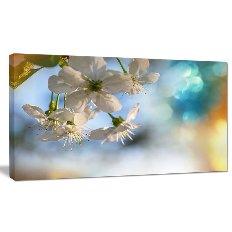« white fleuring cerise tree », impression sur toile tendue, H 28 po x l 60 po