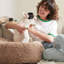 Lit pour chien apaisant et apaisant pour chien-159425415