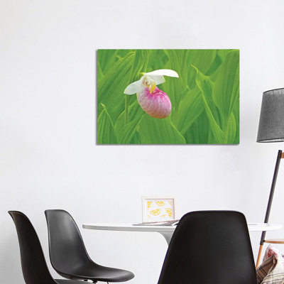 "Single Lady Slipper" par Brian Wolf - photographie sur toile tendue