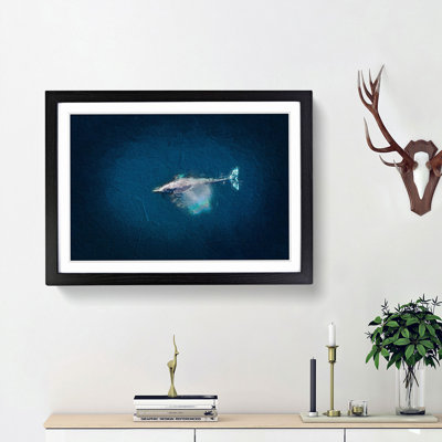 Swimming Dolphin - Picture Frame Painting Print