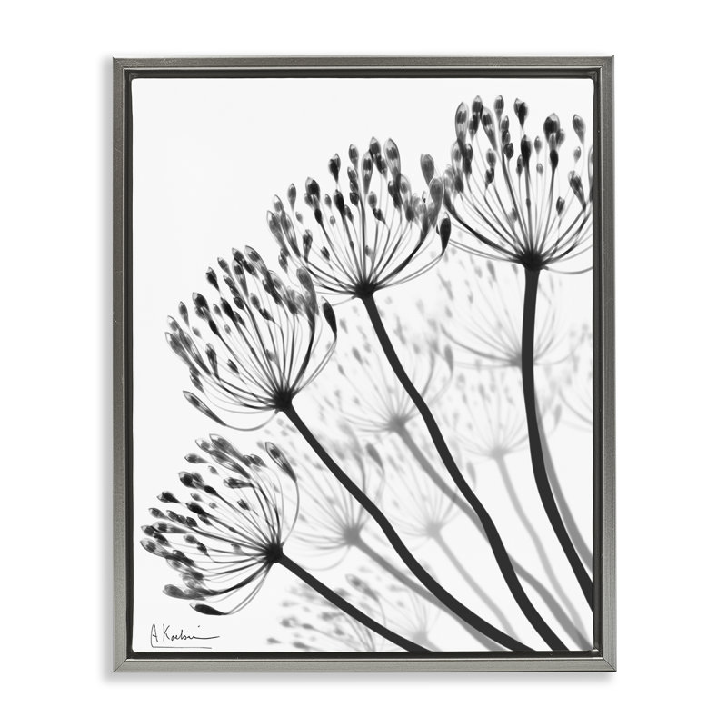 Cadre floral avec pissenlits, par Albert Koetsier, H 31 po x l 25 po, Cadre flottant gris lustré