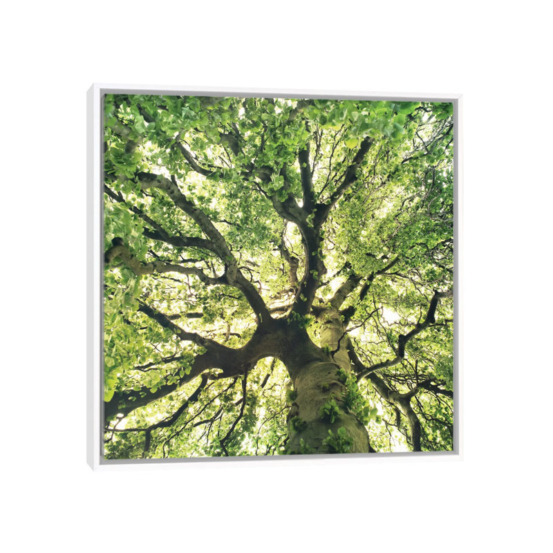 Reproduction de photo sous votre peau, H 37 po x l 37 po x P 1,5 po, Toile blanche encadrée