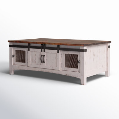 Dansby 2 Sliding Doors, 2 Mesh Doors on Each Side Coffee Table