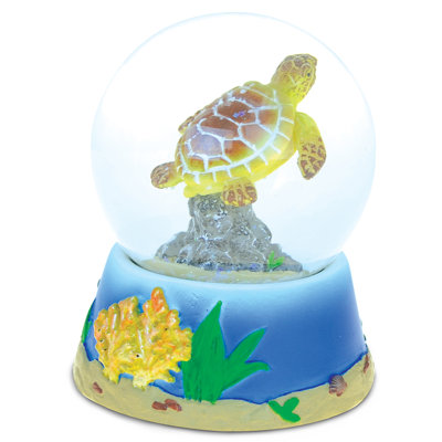 Tortue de mer Polson