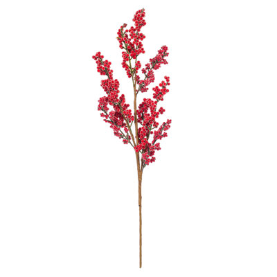 Vaporisateur 25 po de baies rouges 25 po
