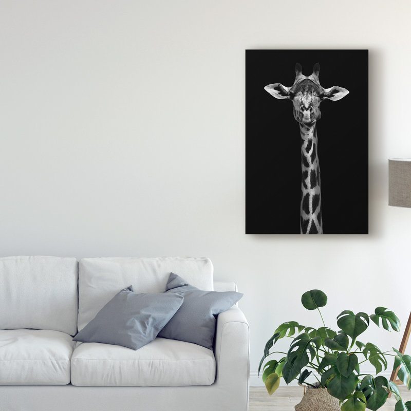 « giraffe portrait on black », reproduction de photo sur toile tendue, H 19 po x l 12 po x p 2 po